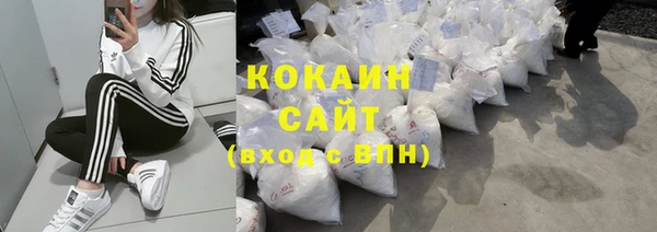стаф Алзамай