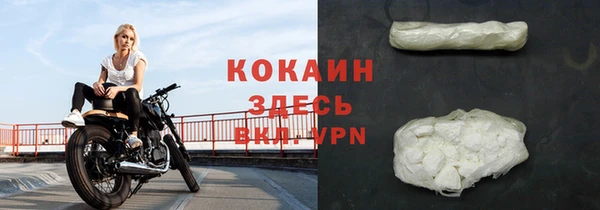 дживик Надым