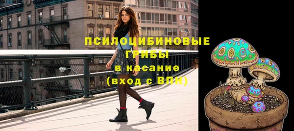 ПСИЛОЦИБИНОВЫЕ ГРИБЫ Алексин
