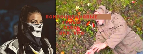 бошки Алексеевка