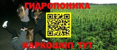 марки lsd Бийск