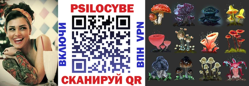 Псилоцибиновые грибы MAGIC MUSHROOMS  hydra рабочий сайт  Бирск  купить наркотик 