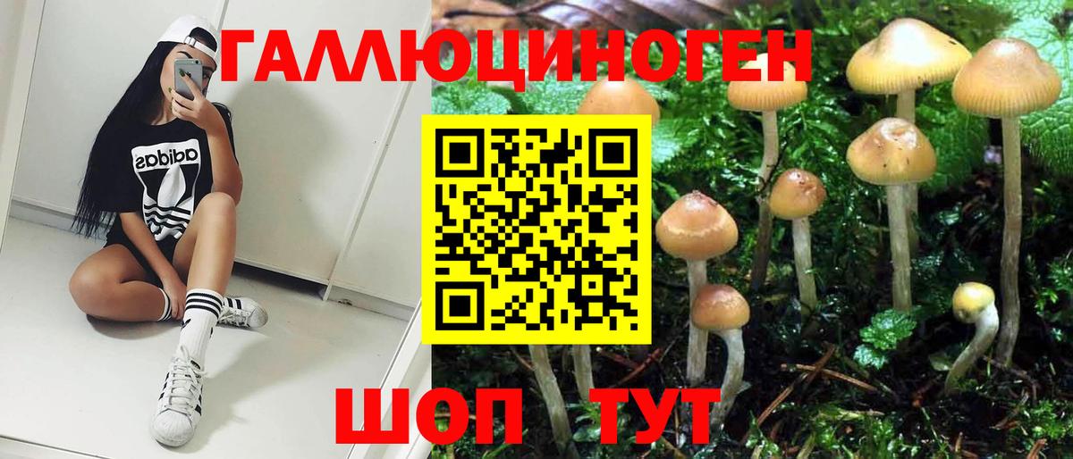 Псилоцибиновые грибы ЛСД Бирск