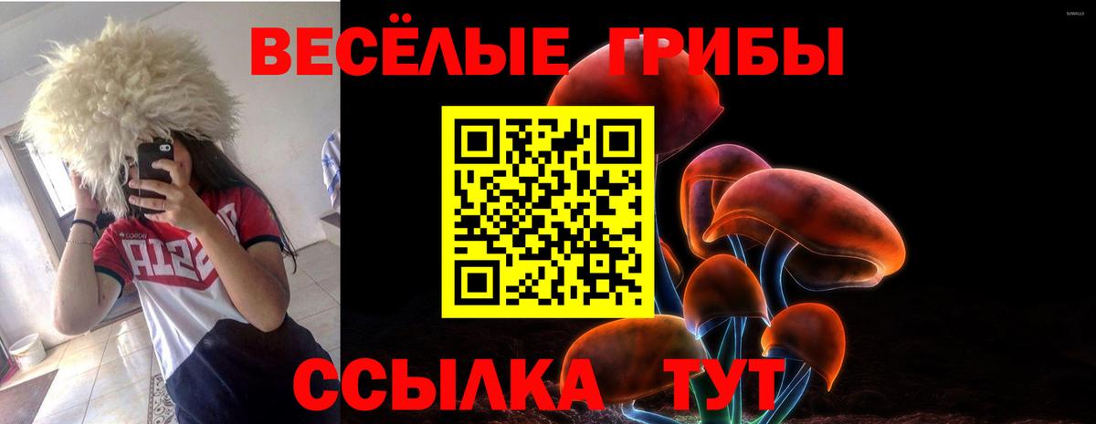 Галлюциногенные грибы GOLDEN TEACHER  Вход с VPN  Бирск  Галлюциногенные грибы мицелий 